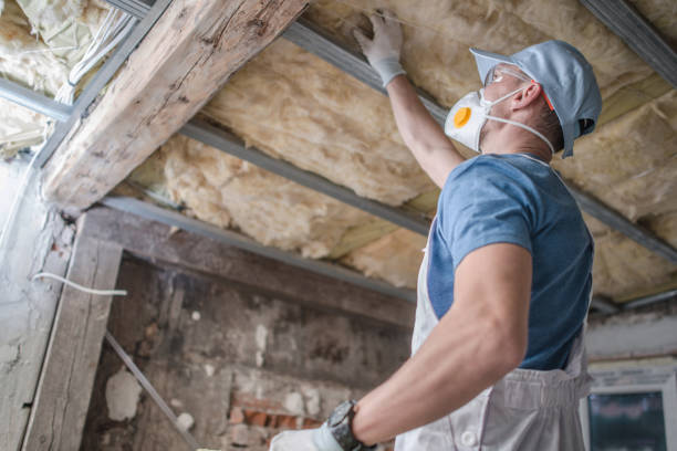 Best Commercial Insulation Services  in Millville, DE