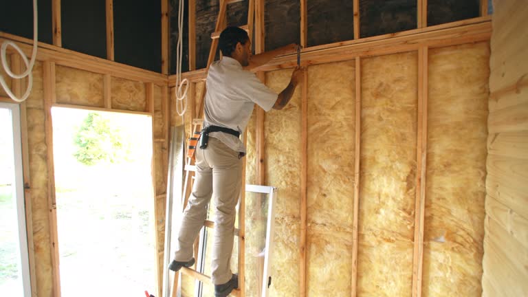 Best Pipe and Duct Insulation  in Millville, DE